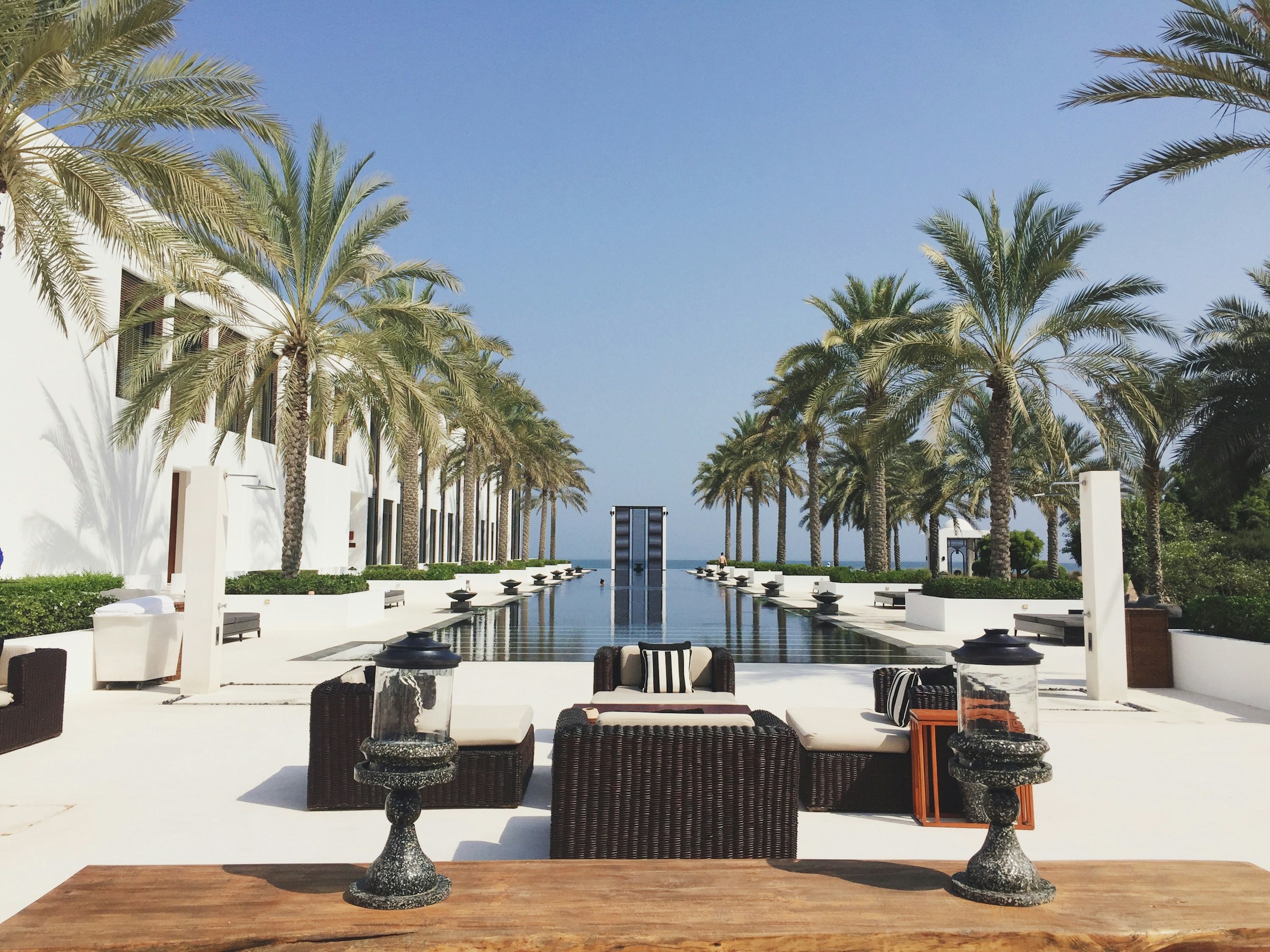 Palm-lined resort pool