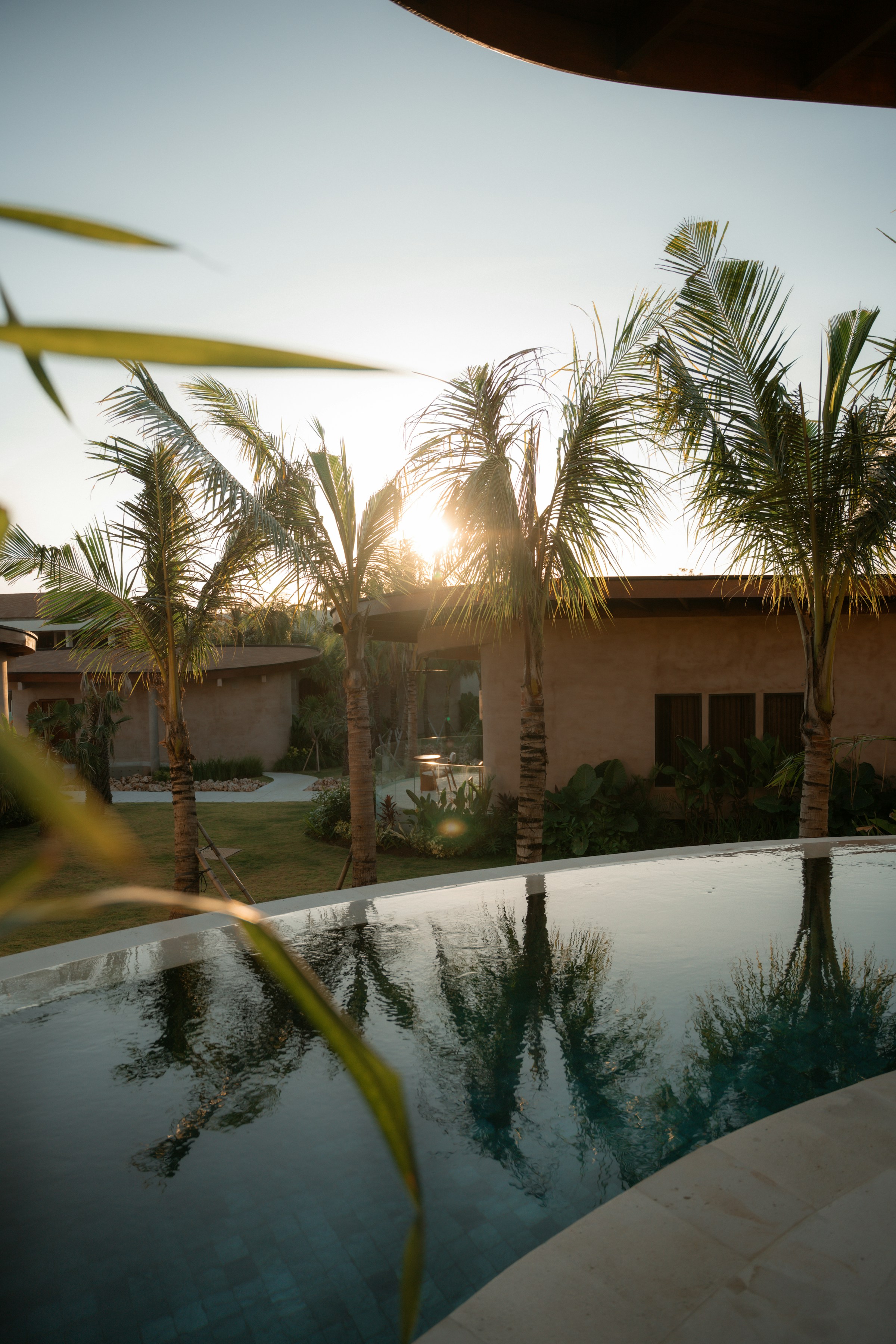 Palm-lined resort pool at sunset